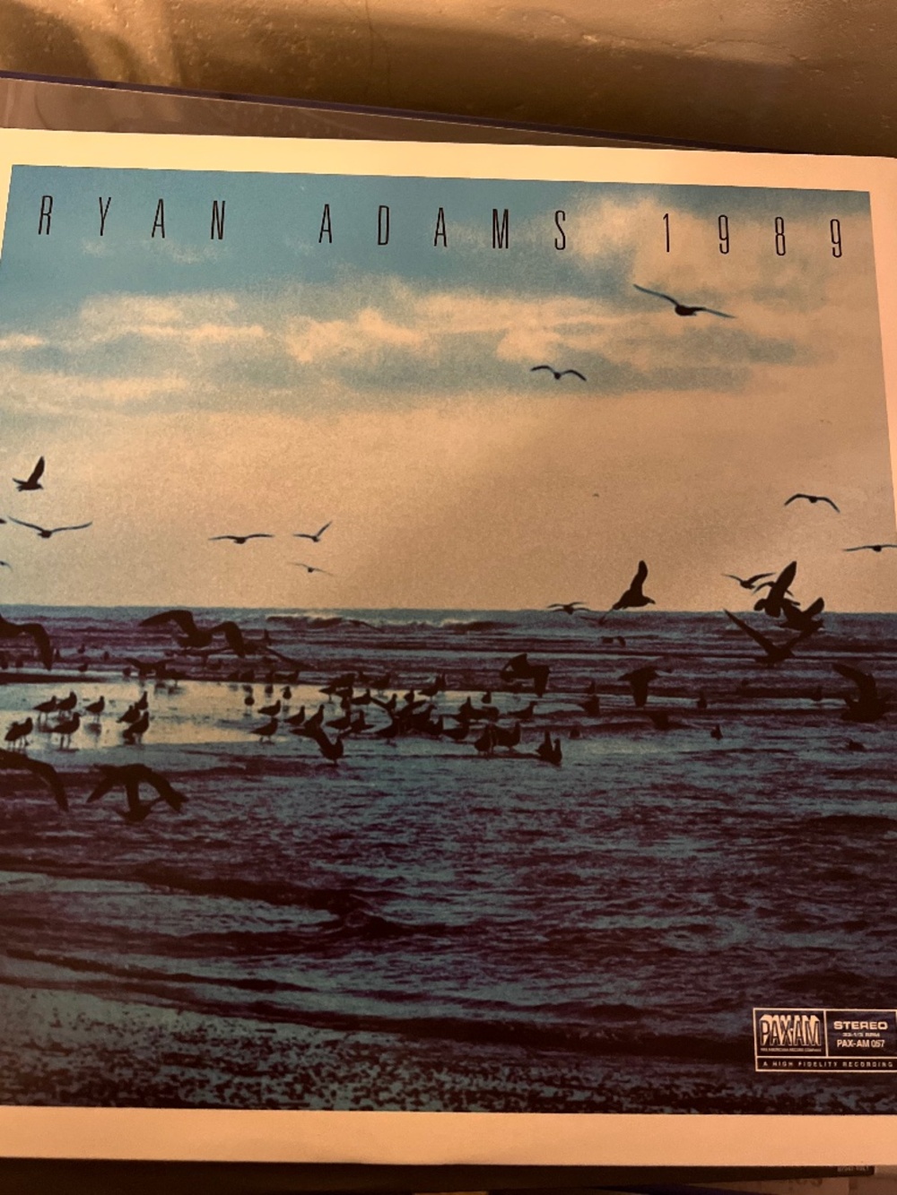 Ryan Adams 1989 vinyl record